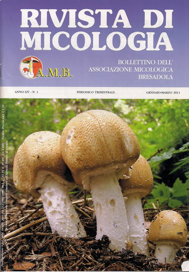 Clitocybe nebularis: principi biologicamente attivi.